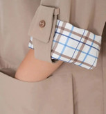 بارونی کوتاه کلاهدار